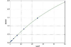 C-Src tyrosine Kinase (CSK) ELISA Kit