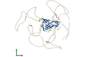 Protein Structure (PS) image for T-Box Brain Gene 1 (TBR1) (AA 1-681) protein (His tag) (ABIN7557830)
