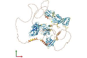 Protein Structure (PS) image for Glutamate Receptor Interacting Protein 1 (GRIP1) (AA 1-1127) protein (His tag) (ABIN7564871)