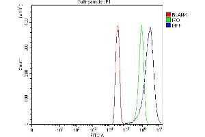 Flow Cytometry analysis of SiHa cells using anti-MFF antibody (ABIN7599292).