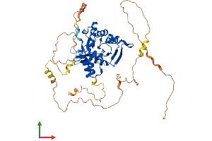 AlphaFold protein structure predicition of Mouse Recombinant Fam83e Protein, UniprotID Q80XS7 (FAM83E Protein (AA 1-481) (His tag))