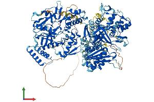 Protein Structure (PS) image for Nitric Oxide Synthase 2, Inducible (NOS2) (AA 1-1144) protein (His tag) (ABIN7563075)