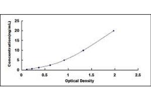 Typical standard curve (C8B ELISA Kit)