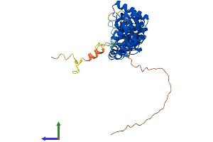 Protein Structure (PS) image for Pentatricopeptide Repeat Domain 2 (PTCD2) (AA 1-381) protein (His tag) (ABIN7559737)