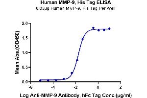 ELISA image for Matrix Metallopeptidase 9 (Gelatinase B, 92kDa Gelatinase, 92kDa Type IV Collagenase) (MMP9) (AA 20-707) protein (His-Avi Tag) (ABIN7275270)