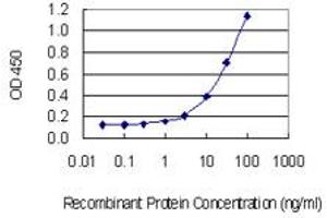 Detection limit for recombinant GST tagged TPRKB is 1 ng/ml as a capture antibody. (TPRKB Antikörper  (AA 66-175))