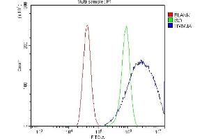 Flow Cytometry analysis of A431 cells using anti-TIMM8A/DDP antibody (ABIN7600039). (TIMM8A/DDP Antikörper  (AA 14-97))