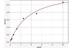 Caspase 12 ELISA Kit