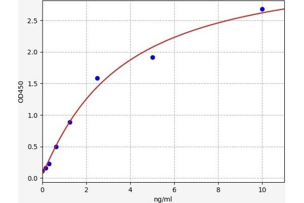 Caspase 12 ELISA Kit