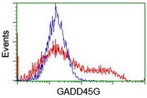 Image no. 2 for anti-Growth Arrest and DNA-Damage-Inducible, gamma (GADD45G) antibody (ABIN1497602) (GADD45G Antikörper)