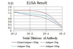 Black line: Control Antigen (100 ng), Purple line: Antigen(10 ng), Blue line: Antigen (50 ng), Red line: Antigen (100 ng), (MMP3 Antikörper)