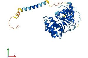 AlphaFold protein structure predicition of Mouse Recombinant A4galt Protein, UniprotID Q67BJ4 (A4GALT Protein (AA 1-359) (His tag))