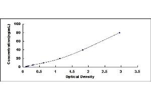 Typical standard curve (EPX ELISA Kit)