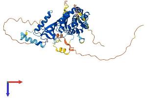 PI4K2B Protein (AA 1-469) (His tag)