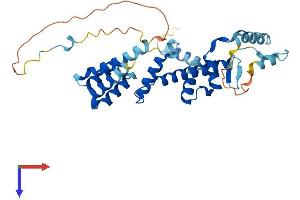 TADA1 Protein (AA 1-335) (His tag)