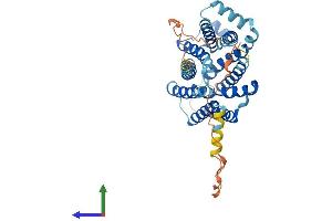AlphaFold protein structure predicition of Human Recombinant SLC35A2 Protein, UniprotID P78381