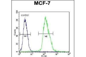 MF Antibody (C-term) 940b flow cytometric analysis of MCF-7 cells (right histogram) compared to a negative control cell (left histogram).