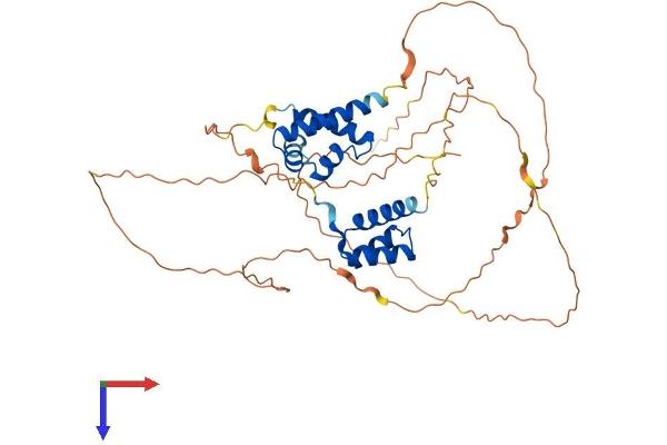 POU2F3 Protein (AA 1-431) (His tag)