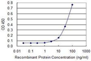 Detection limit for recombinant GST tagged ZIC3 is approximately 10ng/ml as a capture antibody. (ZIC3 Antikörper  (AA 182-274))