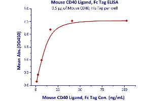 Immobilized Mouse CD40, His Tag  with a linear range of 1-16 ng/mL.