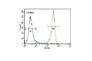 FGFR2 Antibody (N-term R22) (ABIN391967 and ABIN2841763) flow cytometric analysis of NCI- cells (right histogram) compared to a negative control cell (left histogram). (FGFR2 Antikörper  (N-Term))