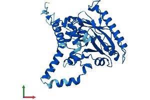 Protein Structure (PS) image for Monoacylglycerol O-Acyltransferase 1 (MOGAT1) (AA 1-335) protein (His tag) (ABIN7549472)