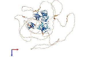 SH3RF1 Protein (AA 1-892) (His tag)