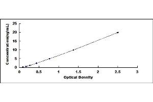 Typical standard curve (WFS1 ELISA Kit)