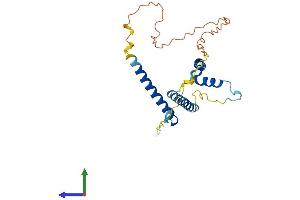 GEMIN8 Protein (AA 1-242) (His tag)
