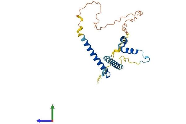 GEMIN8 Protein (AA 1-242) (His tag)