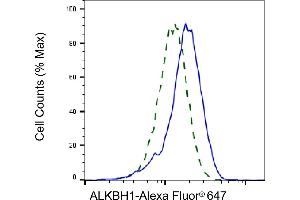 Validation of ALKBH1 knockdown using flow cytometry. (Rekombinanter ALKBH1 Antikörper)