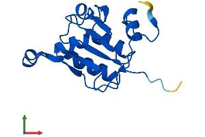 Protein Structure (PS) image for Fucose Mutarotase (FUOM) (AA 1-153) protein (His tag) (ABIN7559693)