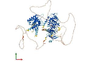 Protein Structure (PS) image for ArfGAP with GTPase Domain, Ankyrin Repeat and PH Domain 1 (AGAP1) (AA 1-857) protein (His tag) (ABIN7564457)