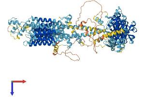 Protein Structure (PS) image for Adenylate Cyclase 6 (ADCY6) (AA 1-1168) protein (His tag) (ABIN7551952)