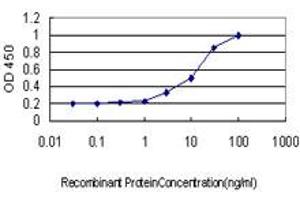 Detection limit for recombinant GST tagged POLA is approximately 0.