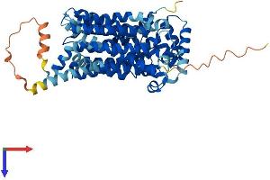 SLC2A2 Protein (AA 1-524) (His tag)