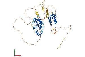 AlphaFold protein structure predicition of Mouse Recombinant Nab1 Protein, UniprotID Q61122