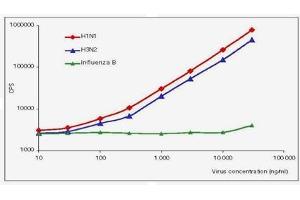 ELISA image for anti-Influenza A Virus antibody (Influenza A Virus H1N1) (ABIN263825) (Influenza A Virus Antikörper (Influenza A Virus H1N1))
