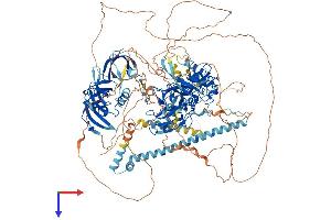 SETDB1 Protein (AA 1-1291) (His tag)
