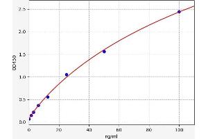 Fibronectin ELISA Kit