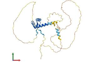 Protein Structure (PS) image for Paired-Like Homeodomain 1 (PITX1) (AA 1-315) protein (His tag) (ABIN7556691)