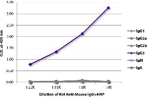 ELISA plate was coated with purified mouse IgG1, IgG2a, IgG2b, IgG3, IgM, and IgA. (Ratte anti-Maus IgG3 Antikörper (HRP))