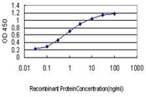 Detection limit for recombinant GST tagged SALF is approximately 0. (GTF2A1 Antikörper  (AA 141-249))