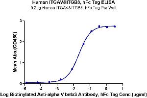 Immobilized Human ITGAV&ITGB3, hFc Tag at 2 μg/mL (100 μL/well) on the plate. (CD51/CD61 Protein (AA 31-992) (Fc Tag))