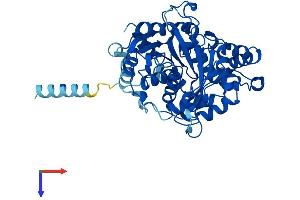 EPHX1 Protein (AA 1-455) (His tag)