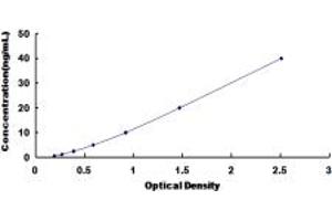 Typical standard curve (MC2R ELISA Kit)