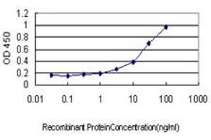 Detection limit for recombinant GST tagged NODAL is approximately 1ng/ml as a capture antibody. (Nodal Antikörper  (AA 275-346))