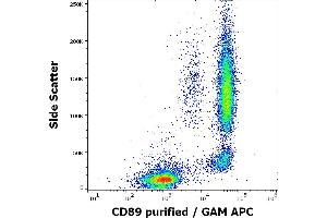 Flow cytometry surface staining pattern of human peripheral whole blood stained using anti-human CD89 (A59) purified antibody (concentration in sample 3 μg/mL) GAM APC. (FCAR Antikörper)