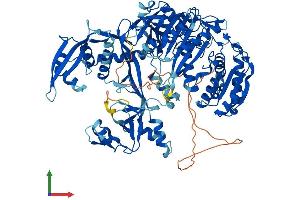 Protein Structure (PS) image for Piwi-Like 1 (PIWIL1) (AA 1-861) protein (His tag) (ABIN7554976)