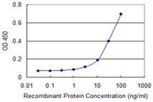 Detection limit for recombinant GST tagged CAP2 is approximately 10ng/ml as a capture antibody. (CAP2 Antikörper  (AA 1-477))